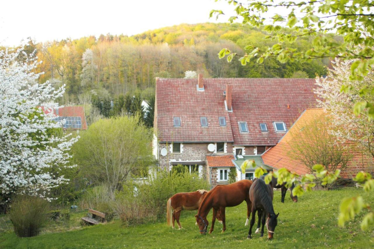 Eichenhof Kalletal Exterior foto